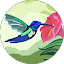 Ashley Carnevale Avatar
